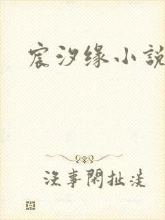 宸汐缘小说