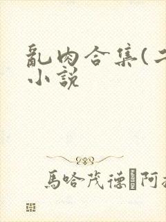 乱肉合集(二)小说
