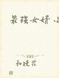 最强女婿 小说封面