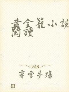 黄金笼小说免费阅读