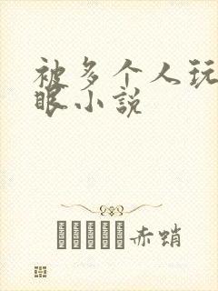被多个人玩屁股眼小说封面