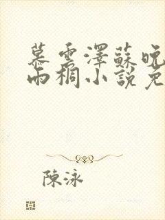慕云泽苏晚晴夏雨桐小说免费阅读