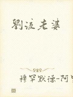 刘流老婆
