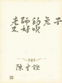 老师的兔子又大又好吃封面