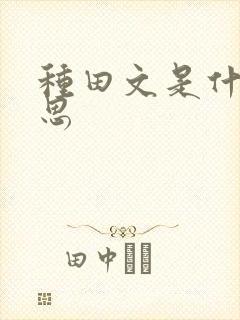 种田文是什么意思