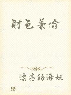财色兼偷封面