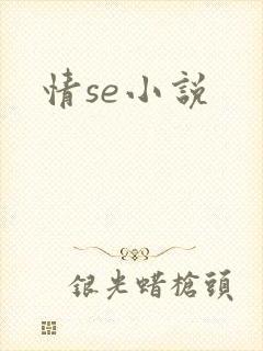 情se小说