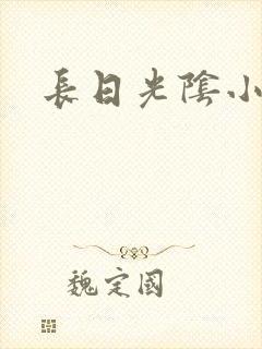 长日光阴小说