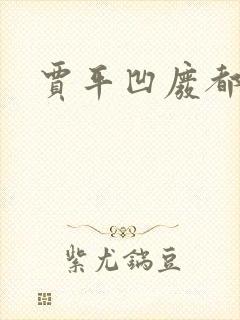 贾平凹废都封面
