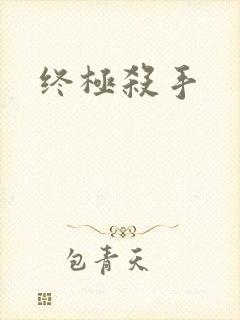 终极杀手