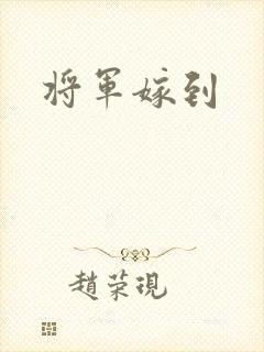 将军嫁到封面