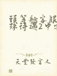 头等舱客服的特殊待遇2中字