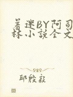 着迷BY阿司匹林小说全文免费阅读