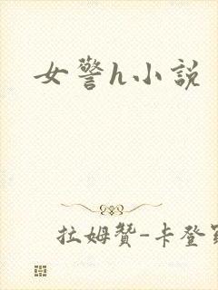女警h小说封面
