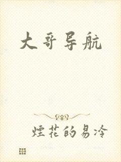 大哥导航