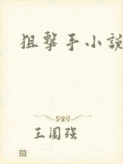 狙击手小说