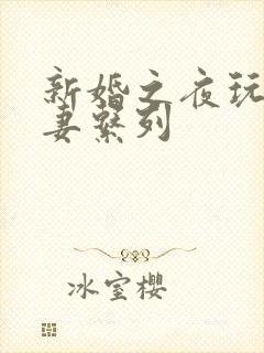 新婚之夜玩弄人妻系列封面