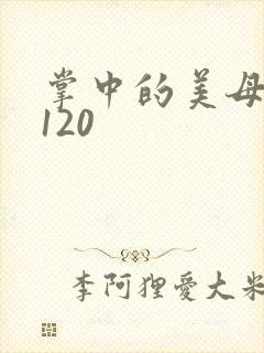 掌中的美母版主120封面