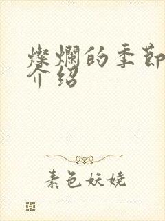灿烂的季节剧情介绍封面