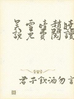 吴雪晴赵晓东小说免费阅读