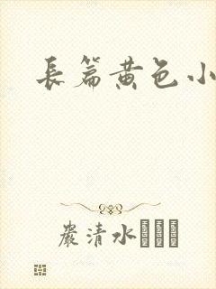 长篇黄色小说