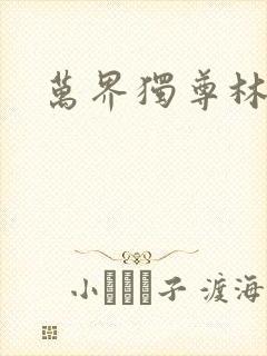 万界独尊林枫