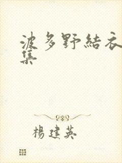 波多野结衣作品集封面