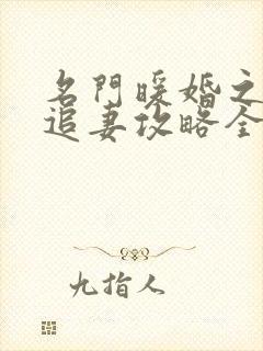 名门暖婚之权爷追妻攻略全文免费阅读