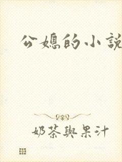 公媳的小说封面