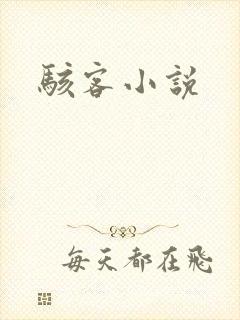 骇客小说