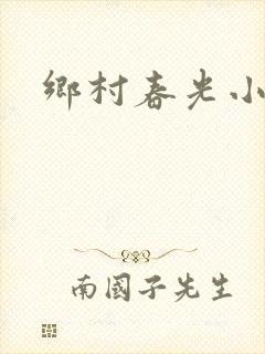 乡村春光小说