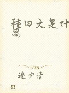 种田文是什么意思封面