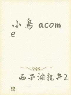 小鸟 acome封面