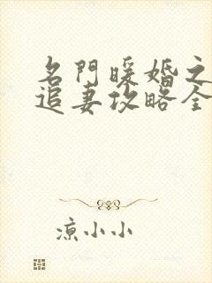 名门暖婚之权爷追妻攻略全文免费阅读