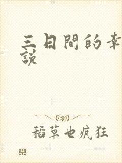 三日间的幸福小说