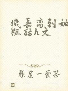 机长脔到她哭h粗话h文封面
