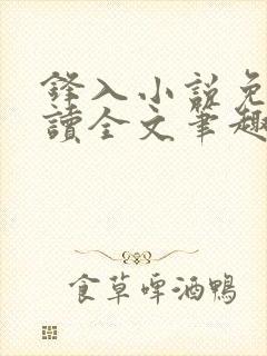 锋入小说免费阅读全文笔趣阁