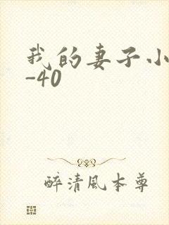 我的妻子小谨1-40