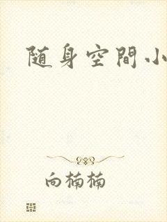 随身空间小说