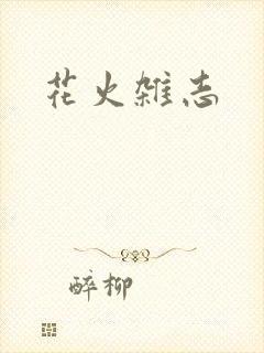 花火杂志封面