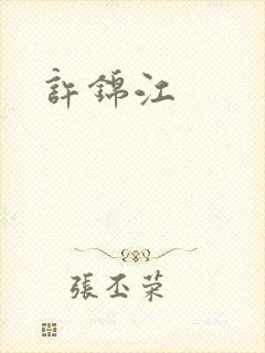 许锦江封面