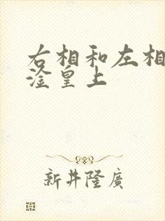 右相和左相一起淦皇上