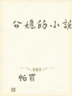 公媳的小说