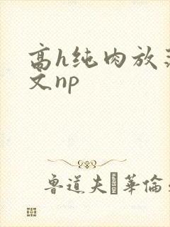 高h纯肉放荡h文np