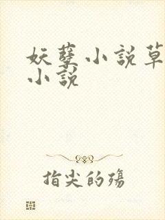 妖孽小说草莓酱小说