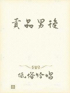 贡品男后