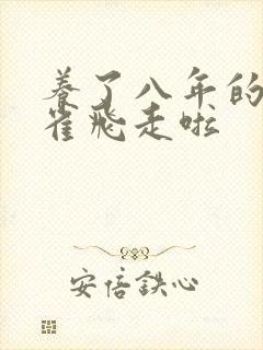 养了八年的金丝雀飞走啦
