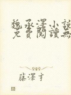 魏承泽小说全文免费阅读无弹窗笔趣