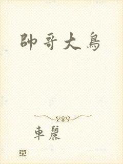 帅哥大鸟