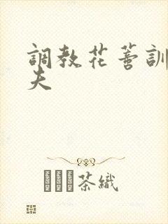调教花蒂训诫从夫